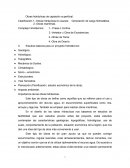 Obras hidráulicas de captación superficial