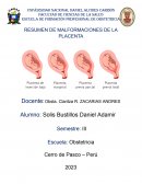 Resumen de malformaciones de la placenta