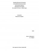 ¿Qué Es La Política Cambiaria Para México?