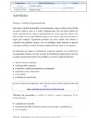 Ensayo: Cultura Organizacional