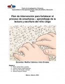 Plan de intervención en pacientes con ceguera y/o baja visión