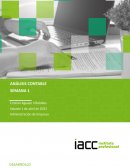 Contabilidad empresa Berries Ltda