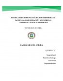 Carga granel sólida