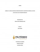 ¿Por que a la hora de negociar internacionalmente es importante conocer la cultura del pais con el que se requiere negociar?