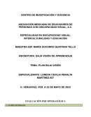 Planificación Baja Visión