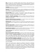 Final de bases neurologica del desaroolo