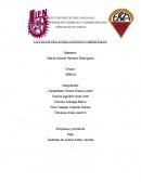 Empresa y producto Kigo