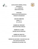 Orientación profesiográfica