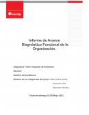 Informe de avance diagnóstico funcional de la organización