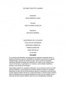 Informe cariotipo humano