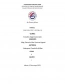 Comunicación y feedback