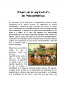Origen de la agricultura en Mesoamérica