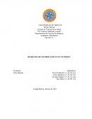 Búsqueda de información en el internet