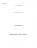 Pautas motivadoras en seguridad y salud laboral