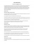 Acta constitutiva Cervecerìa Lucero S.A de C.V