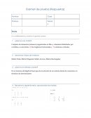Examen matrices