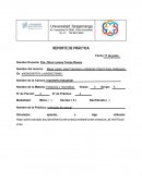 Práctica: principio de Pascal