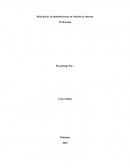 Relación de la administracion en relación al entorno