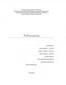 Propiedades del polinomio