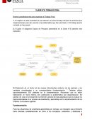 Trabajo final diseño curricular