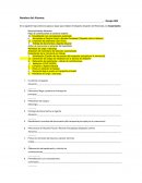 Procedimiento para el despacho de aduanas de mercancías: Importación y exportación