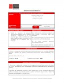 Principios de evaluación en infancia y adolescencia