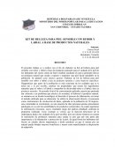 Kit de belleza para piel sensible con rubor y labial a base de productos naturales