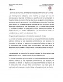 Ensayo efectos antimicrobianos de extractos naturales