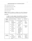 Habilidades directivas y gestión de equipos