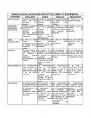 Rúbrica de evaluación para proyecto de campo y/o experimental