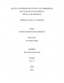 Ensayo deontologia médica