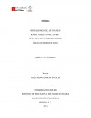 Politica de negocios