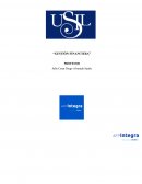 Trabajo final gestión financiera