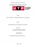 Ciclo contable y libros principales y auxiliares