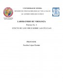 Laboratorio de virología Práctica No. 4