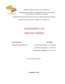 La democracia y los derechos humanos