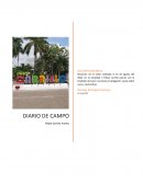 Diario de campo, investigación social sobre usos y costumbres