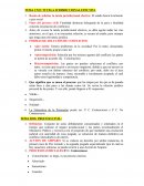 Tutela jurisdiccional efectiva