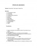 Informe de Laboratorio