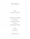 Teoría General de los Sistemas