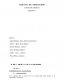 Práctica de laboratorio caída de graves