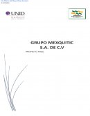 Grupo Mexquitic S.A. de C.V