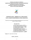 Diagnostico socio – Ambiental de la poblacion de Palital. municipio Independencia, estado Anzoátegu