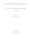 La Importancia de la Implementación de la Robótica Educativa en el sistema educativo venezolano