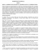 Resumen Didáctica Especail