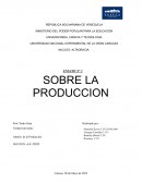 Conceptos sobre la producción