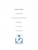 Principios de la contabilidad
