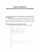 Segmentación del Mercado y Selección de Stakeholders