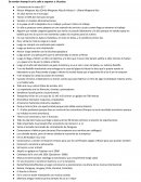 De vender shampu’s en la calle a exportar a 14 países