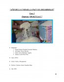 Caso 1 Empresa “DIALE S.A.C.”